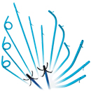 ERCP Biliary and Pancreatic Plastic Stents