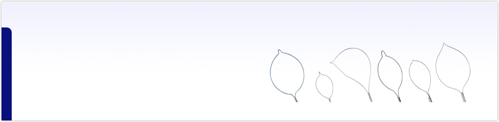 Polypectomy Snares